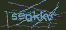 Проверочный код