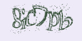 Проверочный код